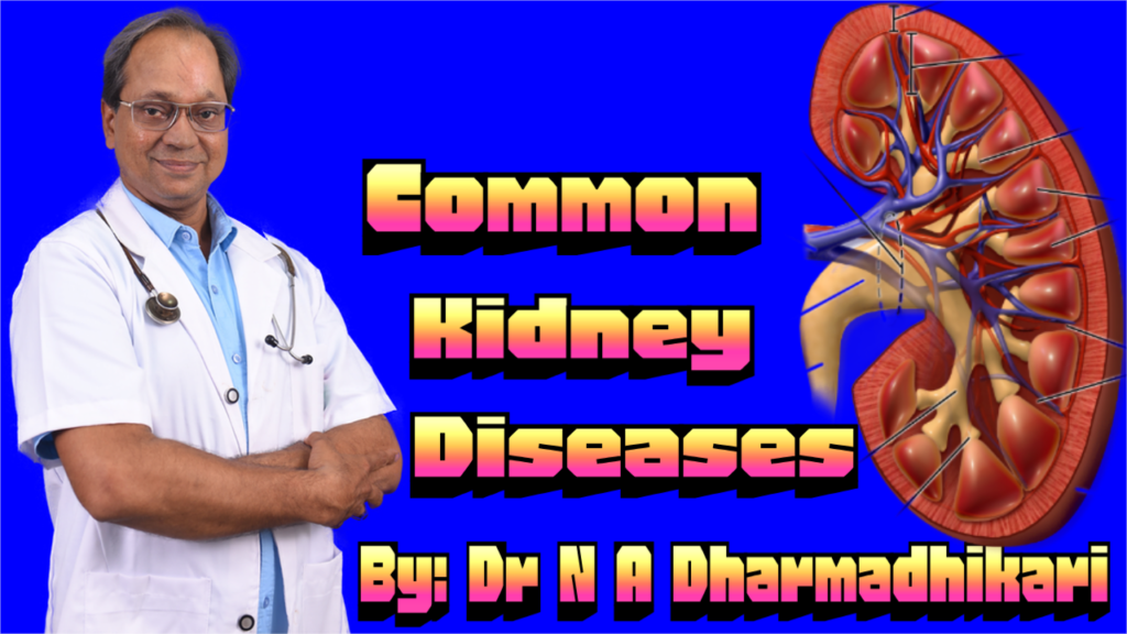 Common Kidney Diseases infographic – causes, symptoms, and prevention by Dr. N. A. Dharmadhikari Clinic