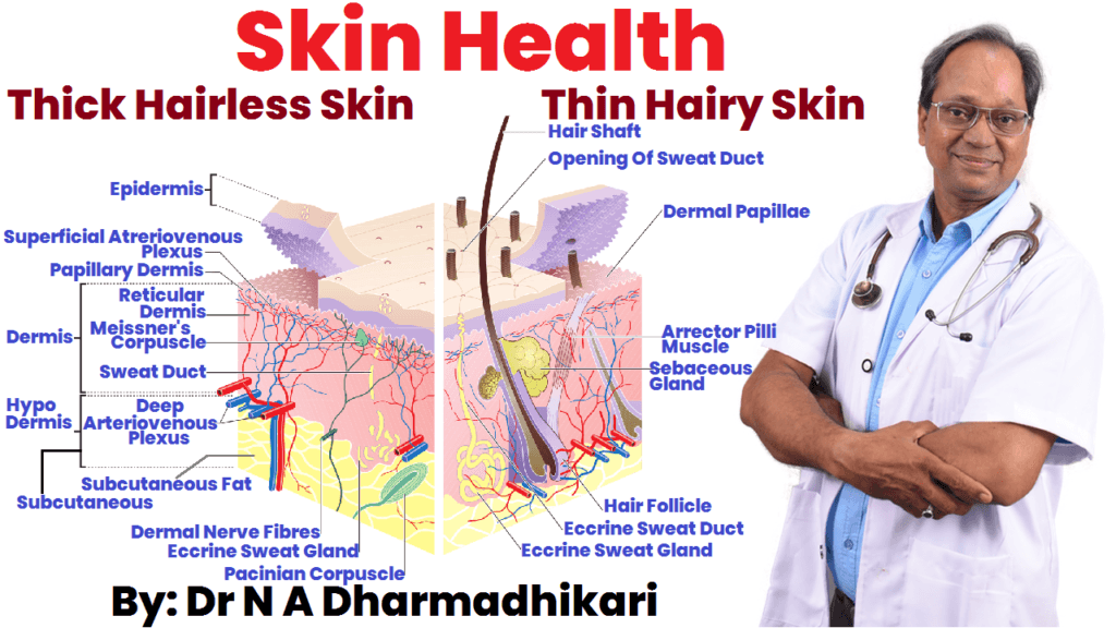 Skin health awareness infographic by Dr. N. A. Dharmadhikari Clinic – tips for healthy and glowing skin डॉ. एन. ए. धर्माधिकारी क्लिनिक द्वारा त्वचा स्वास्थ्य हेतु जानकारीपूर्ण चित्र – स्वस्थ और चमकदार त्वचा के उपाय