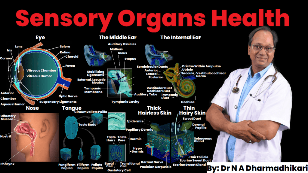 Holistic guidance for eye, ear, nose, tongue, and skin health आंख, कान, नाक, जीभ और त्वचा के स्वास्थ्य के लिए समग्र मार्गदर्शन